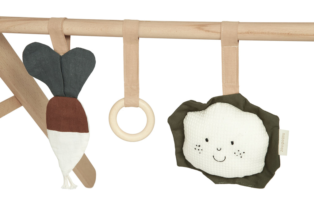 NOBODINOZ - Arche d'éveil en bois et ses jouets Playground / Veggies