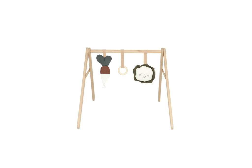 NOBODINOZ - Arche d'éveil en bois et ses jouets Playground / Veggies